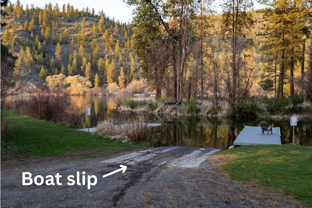 view of street with a wooded view and a water view