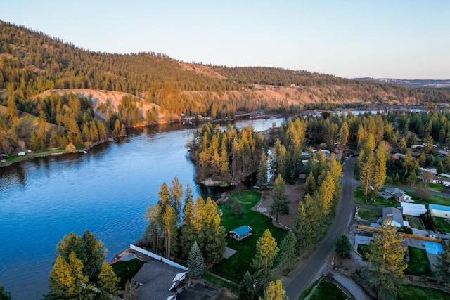 aerial view with a forest view and a water view