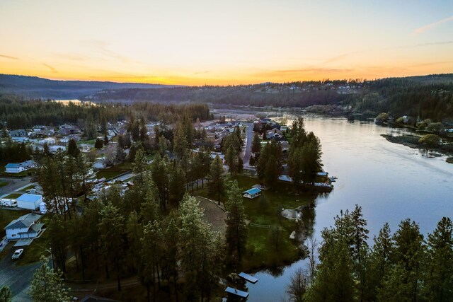 water view with a view of trees