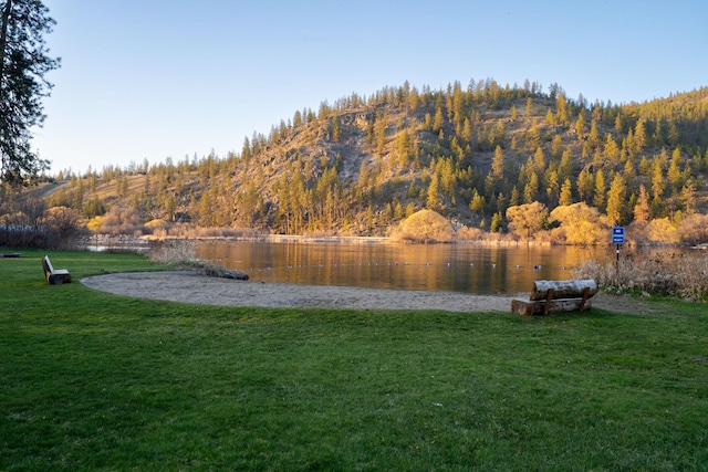 property view of water featuring a forest view