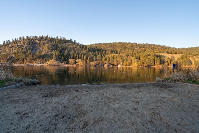 property view of water with a view of trees