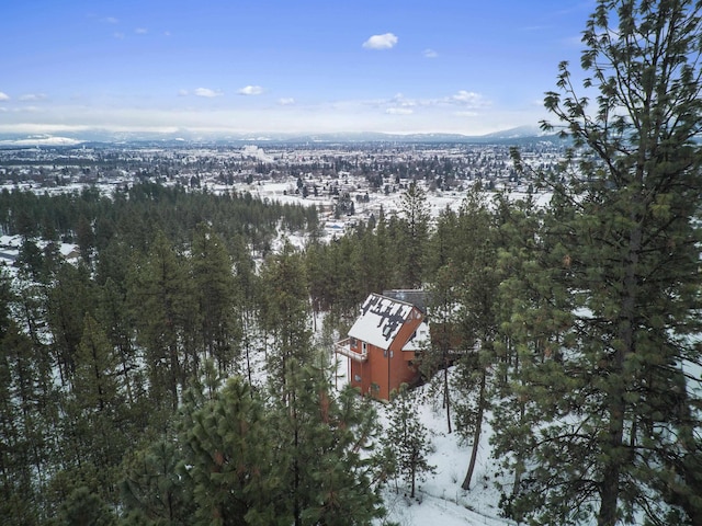 snowy aerial view featuring a mountain view