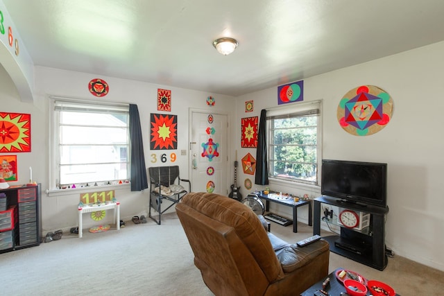 playroom with carpet floors