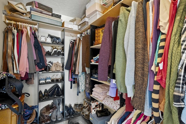 view of spacious closet