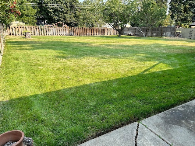 view of yard featuring a fenced backyard