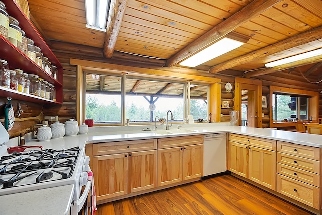 kitchen featuring white appliances, light countertops, and plenty of natural light