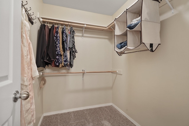 walk in closet with carpet