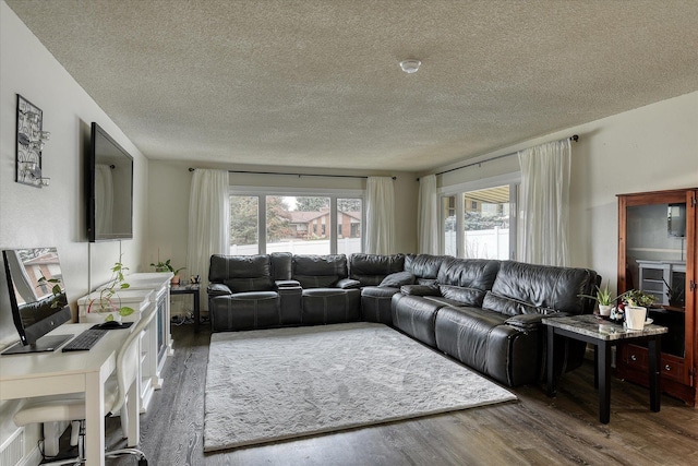 living area featuring dark wood-style floors and a textured ceiling