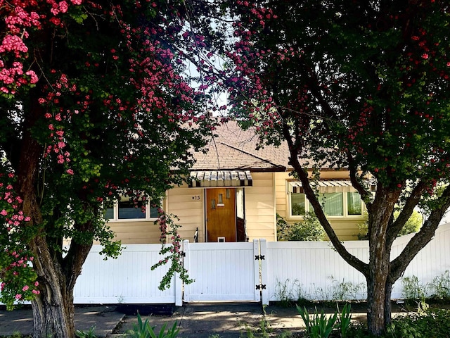 view of front facade with a fenced front yard and a gate