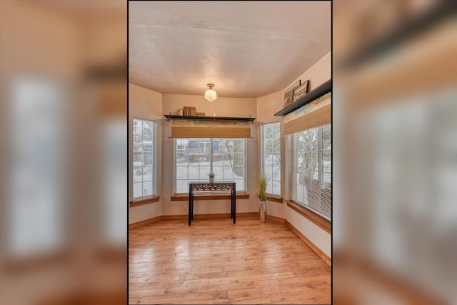 interior space featuring baseboards and light wood-style floors