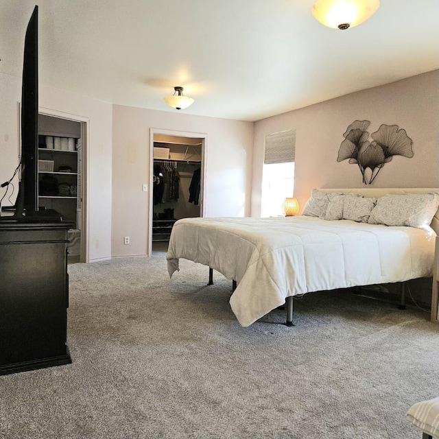 bedroom featuring a closet, carpet, and a walk in closet