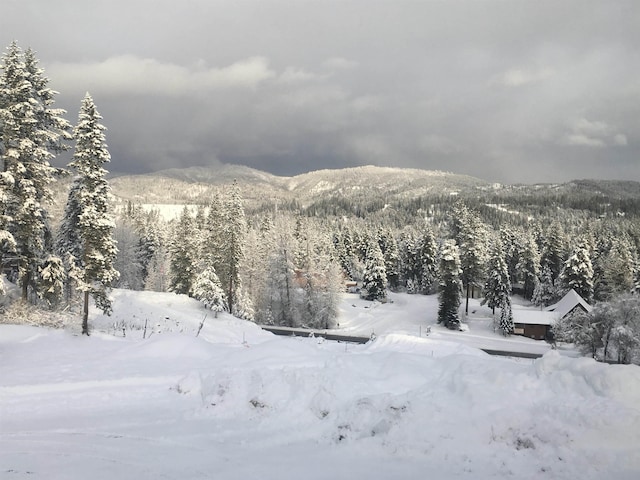 mountain view featuring a wooded view