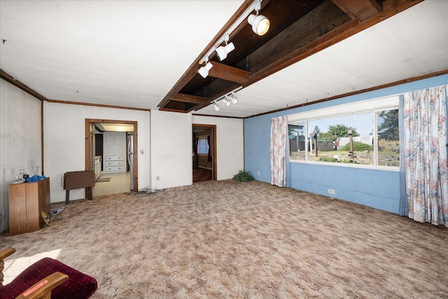 interior space featuring ornamental molding and rail lighting