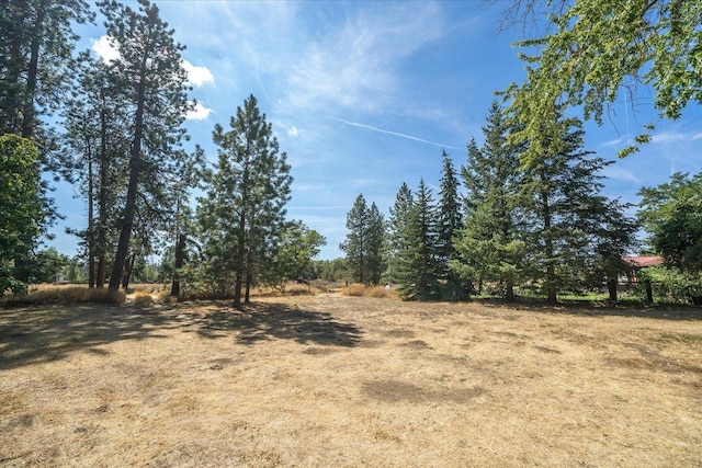 view of yard with a rural view