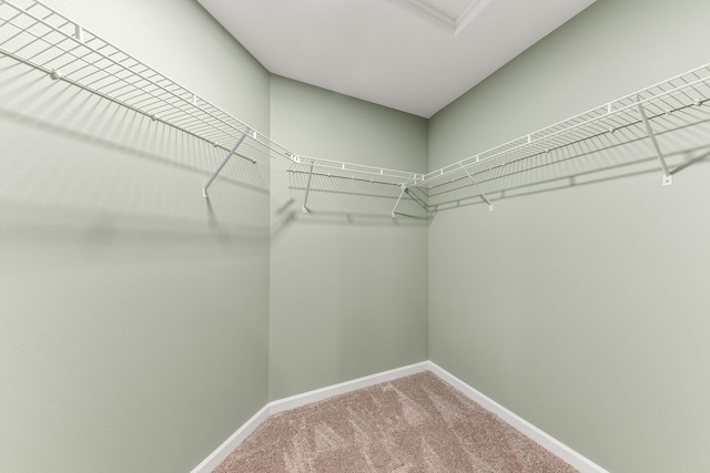 walk in closet featuring carpet