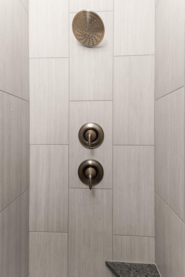 interior details featuring tiled shower