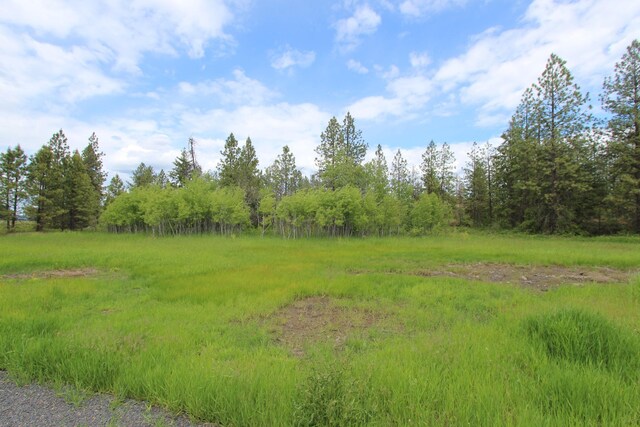 17712 W Burnett Rd, Nine Mile Falls, WA 99026 - photo 41