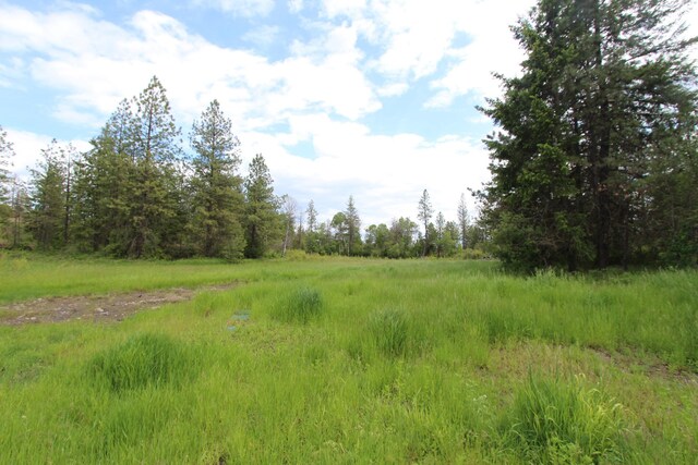 17712 W Burnett Rd, Nine Mile Falls, WA 99026 - photo 42