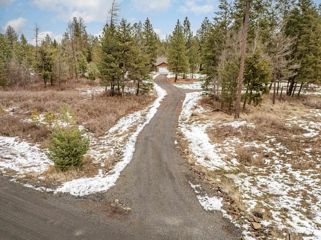 view of road featuring driveway