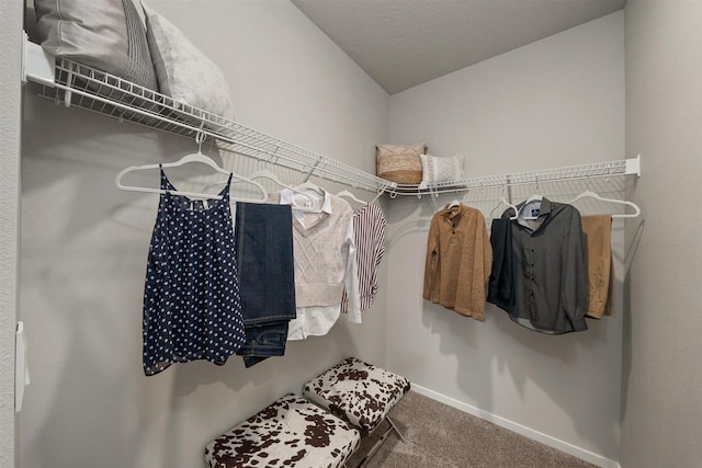 walk in closet with lofted ceiling and carpet flooring