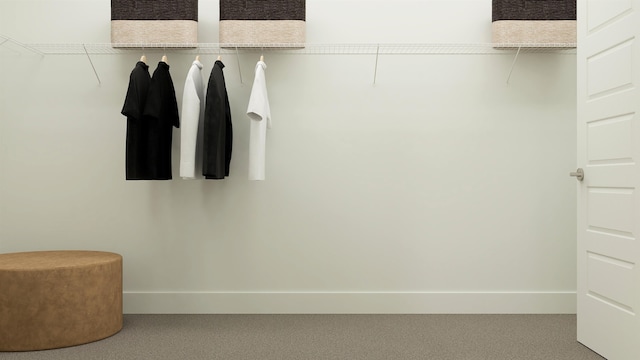 spacious closet featuring carpet flooring