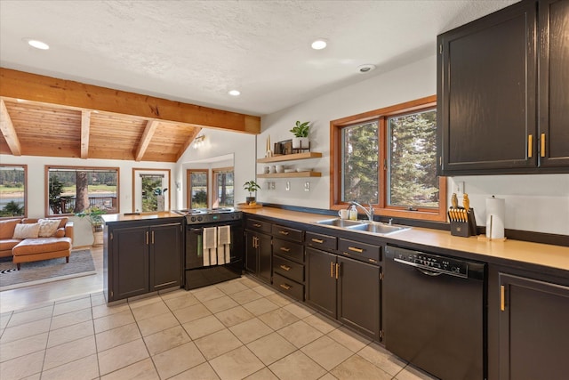 kitchen with black appliances, plenty of natural light, open floor plan, and a sink