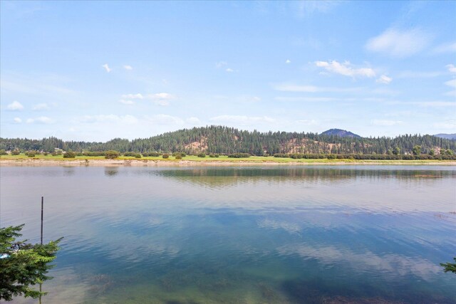 property view of water with a forest view