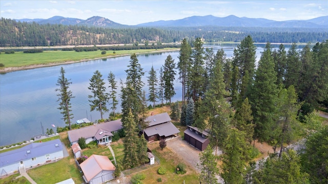 bird's eye view featuring a wooded view and a water and mountain view