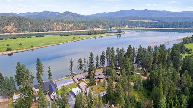 aerial view featuring a water and mountain view and a view of trees