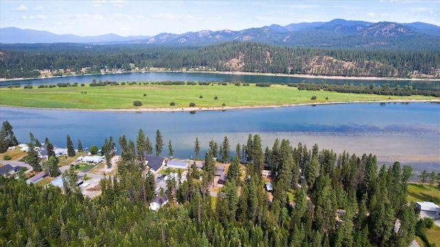 property view of water featuring a mountain view and a view of trees