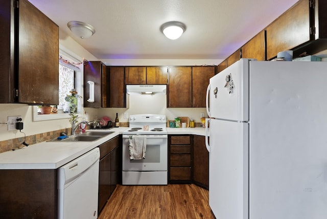 kitchen featuring under cabinet range hood, white appliances, wood finished floors, a sink, and light countertops