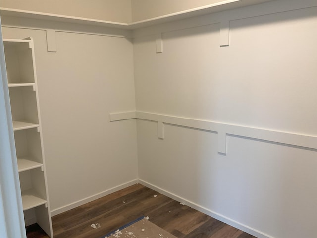 spacious closet featuring dark wood-style flooring