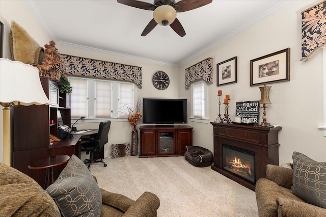 carpeted home office featuring a ceiling fan, a glass covered fireplace, and crown molding