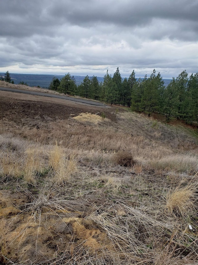 8907 N Rustle Rd, Spokane WA, 99208 land for sale