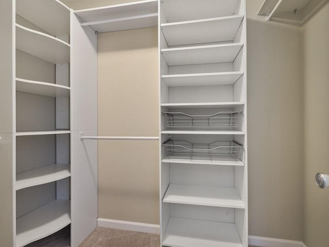 walk in closet with carpet floors