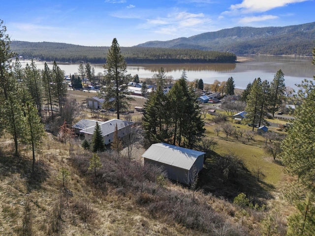 bird's eye view with a wooded view and a water and mountain view