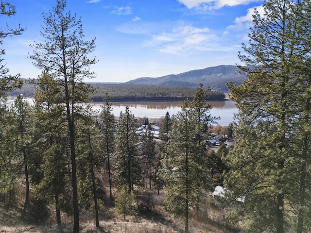 mountain view featuring a forest view and a water view