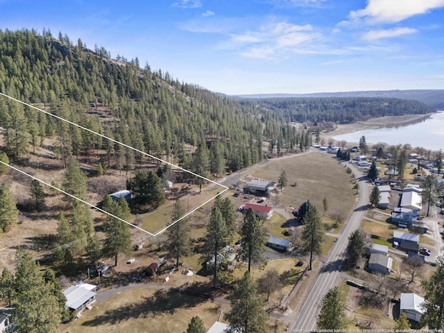 bird's eye view featuring a water view and a view of trees