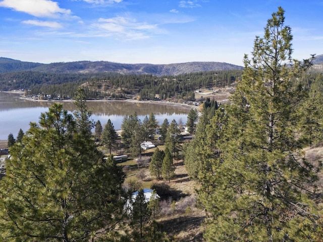 property view of water with a mountain view and a view of trees