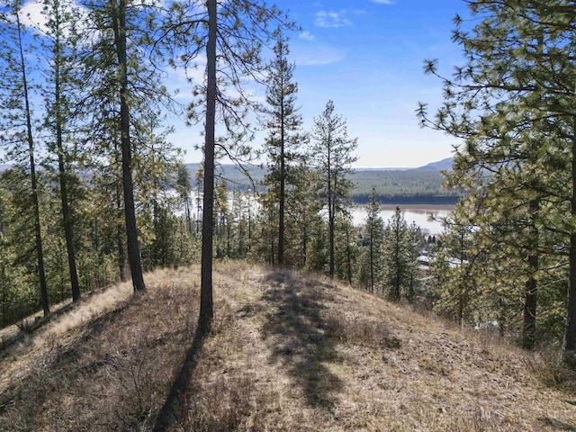property view of water with a forest view