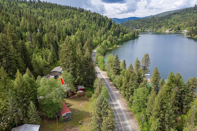 birds eye view of property with a water and mountain view and a view of trees