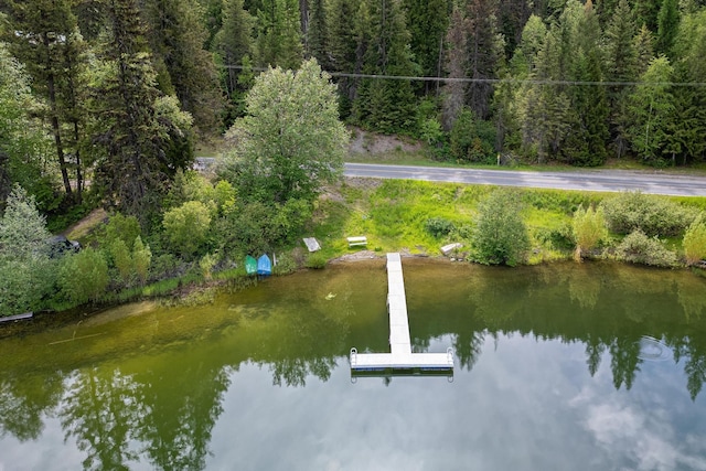 drone / aerial view featuring a water view and a forest view