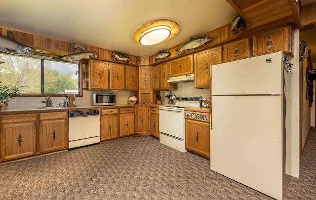 kitchen featuring dark floors, brown cabinets, a sink, white appliances, and under cabinet range hood