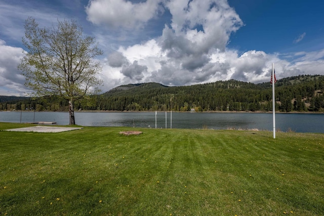 property view of water with a forest view