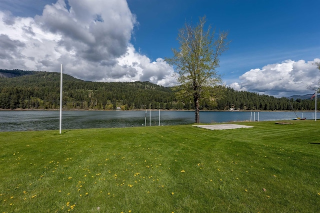 view of yard with a water view and a view of trees