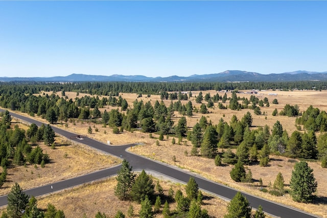 Listing photo 2 for NKA W Slaton Ln Lot 30, Deer Park WA 99006