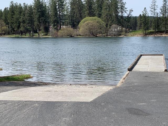 property view of water with a forest view