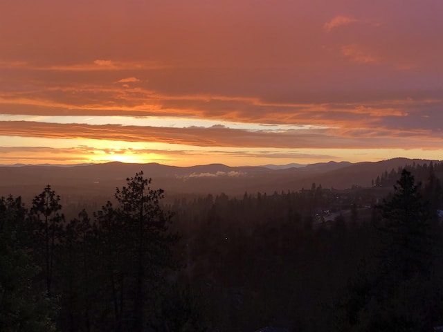 property view of mountains with a wooded view