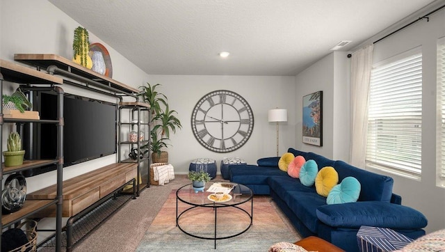 carpeted living room with a textured ceiling