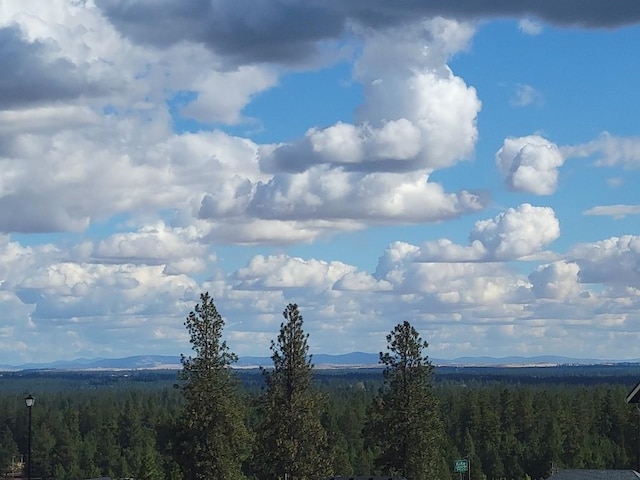 mountain view with a forest view